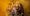 COBRA SPELL Smoking Hot Debut Album, '666', Out December 1, 2023